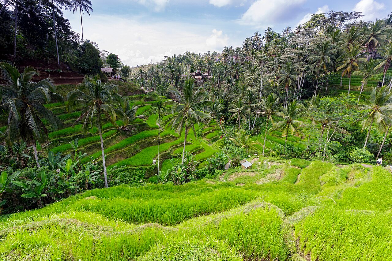 Indonesia - Bali